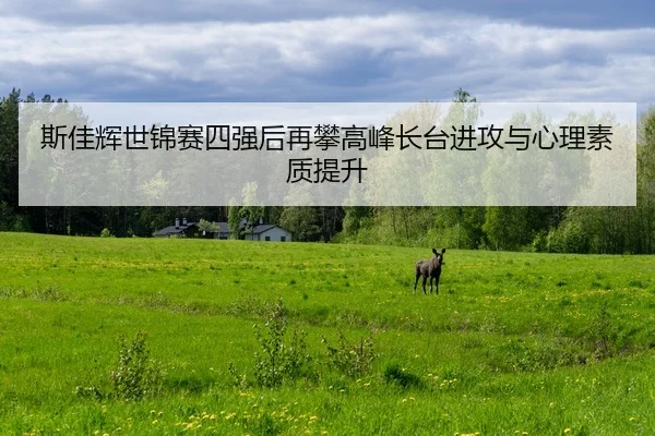 斯佳辉世锦赛四强后再攀高峰长台进攻与心理素质提升