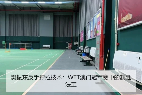 樊振东反手拧拉技术：WTT澳门冠军赛中的制胜法宝