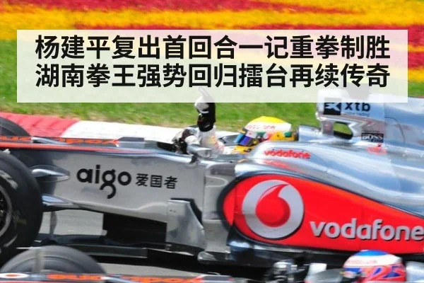 杨建平复出首回合一记重拳制胜 湖南拳王强势回归擂台再续传奇
