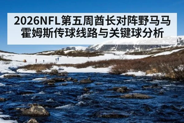 2026NFL第五周酋长对阵野马马霍姆斯传球线路与关键球分析
